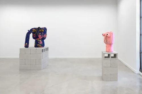Installation view, I Got a Cut in My Flower Valley, Rajiv Menon Contemporary · 2026 (8)