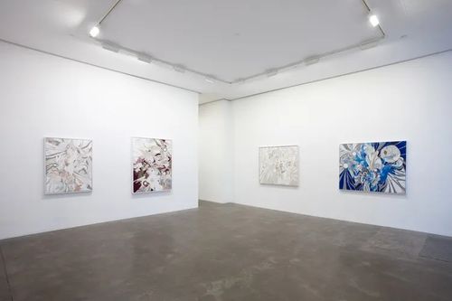 Installation view, Second Skin, Susan Inglett Gallery