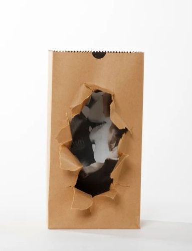 Installation view, Photosculpture: 1962 - 1977, Craig Krull Gallery · 2025 (2)
