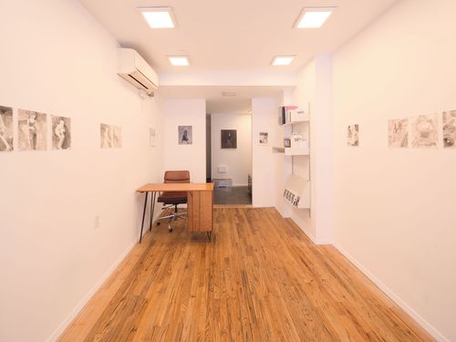 Installation view, In Cars: On Diana, Dashwood Projects · 2026 (9)