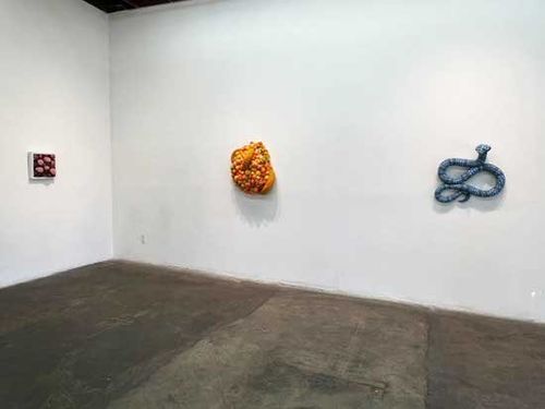 Installation view, Nathan Vincent: The Shape of Awareness, Walter Maciel Gallery, Los Angeles, 2026