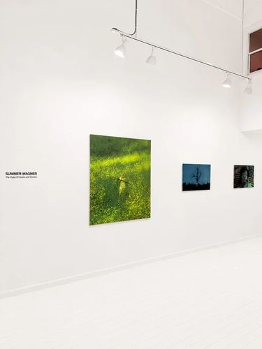Installation view, The Pulse of Grass and Screen, The Locker Room · 2026 (2)