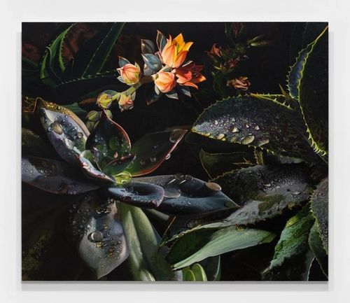 Installation view, Holding Time (Part II), Andrew Reed Gallery · 2026 (2)