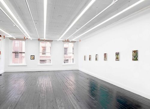 Installation view, Acid Base, Kate Werble Gallery · 2025 (1)