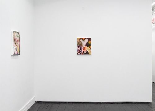 Installation view, Acid Base, Kate Werble Gallery · 2025 (4)