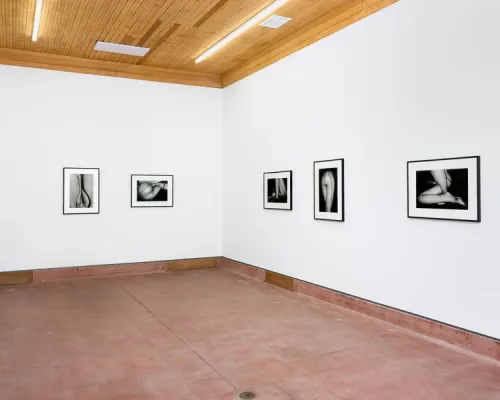 Installation view, One day I was drinking coffee with my girlfriend, Rusha & Co. · 2026 (2)