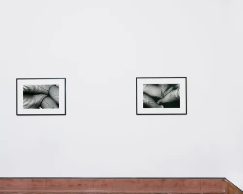 Installation view, One day I was drinking coffee with my girlfriend, Rusha & Co. · 2026 (3)