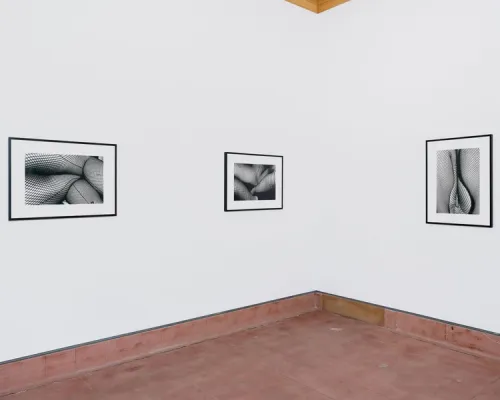 Installation view, One day I was drinking coffee with my girlfriend, Rusha & Co. · 2026 (4)