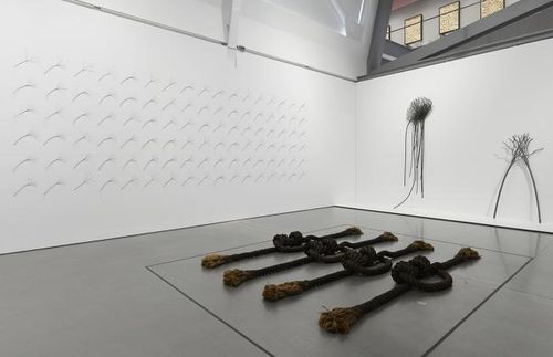 Installation view, Living Moving Growing, Berkeley Art Museum and Pacific Film Archive