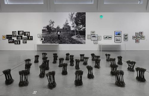 Installation view, Living Moving Growing, Berkeley Art Museum and Pacific Film Archive · 2026 (2)