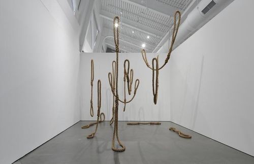 Installation view, Living Moving Growing, Berkeley Art Museum and Pacific Film Archive · 2026 (3)
