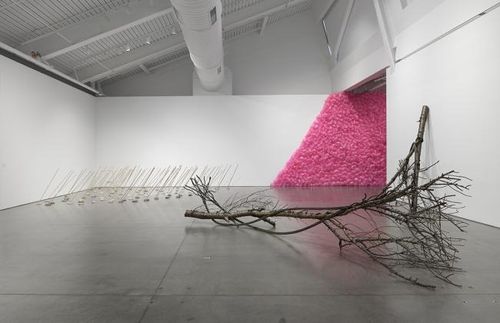 Installation view, Living Moving Growing, Berkeley Art Museum and Pacific Film Archive · 2026 (4)