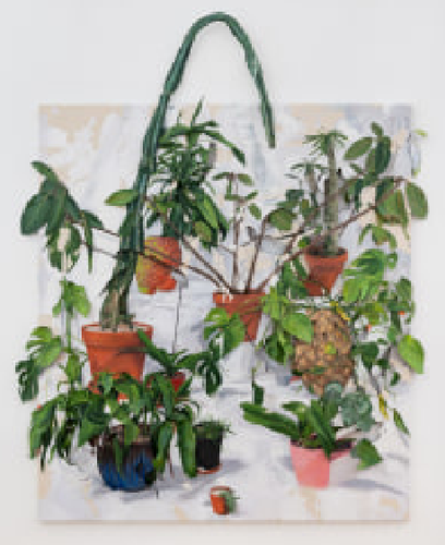 Installation view, Second Nature, Derek Elller