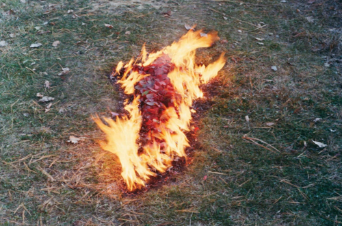 Installation view, Back to the Source, Marian Goodman, New York