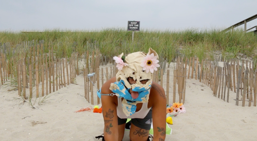 Installation view, Puppy's Play and Punishment, Below Grand, Orchard Street