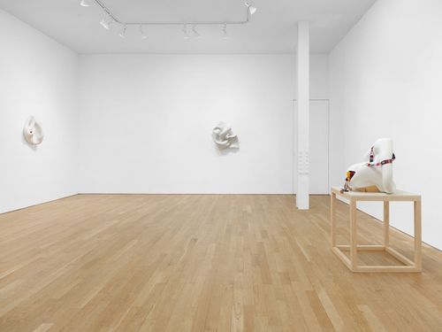 Installation view, Aletheia, Bienvenu Steinberg & C · 2026 (3)