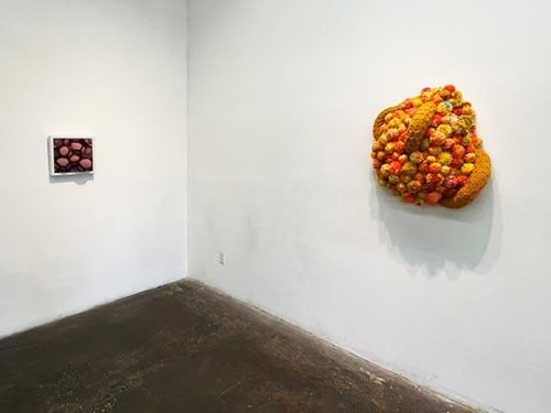 Installation view, Nathan Vincent: The Shape of Awareness, Walter Maciel Gallery, Los Angeles, 2026