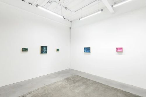 Installation view, Chris Austin: Contrasts, Minnesota Street Project · 2025 (1)