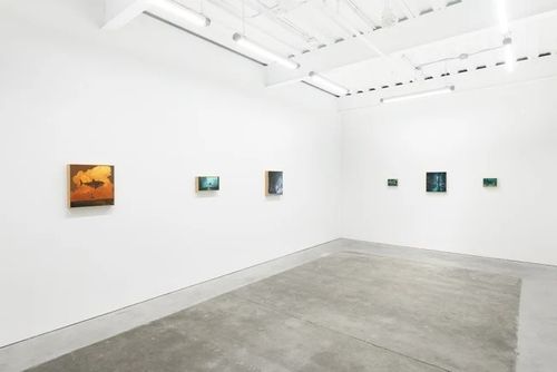 Installation view, Chris Austin: Contrasts, Minnesota Street Project · 2025 (4)