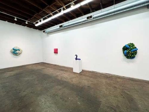 Installation view, Nathan Vincent: The Shape of Awareness, Walter Maciel Gallery, Los Angeles, 2026