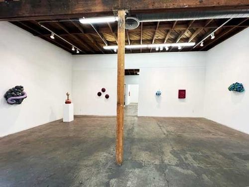 Installation view, Nathan Vincent: The Shape of Awareness, Walter Maciel Gallery, Los Angeles, 2026