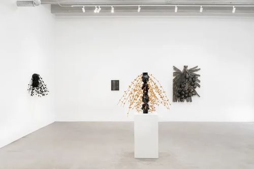 Installation view, Always Looking at Palm Trees - A Botanical Conversation, Voloshyn Gallery · 2026 (2)