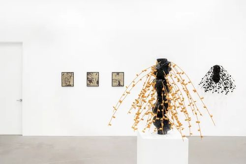 Installation view, Always Looking at Palm Trees - A Botanical Conversation, Voloshyn Gallery · 2026 (7)