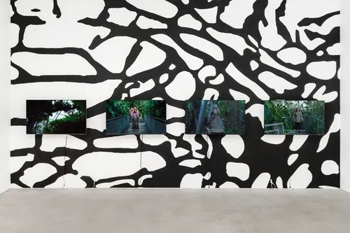 Installation view, Always Looking at Palm Trees - A Botanical Conversation, Voloshyn Gallery · 2026 (6)