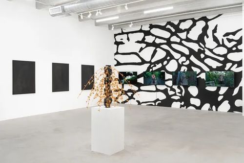 Installation view, Always Looking at Palm Trees - A Botanical Conversation, Voloshyn Gallery · 2026 (3)