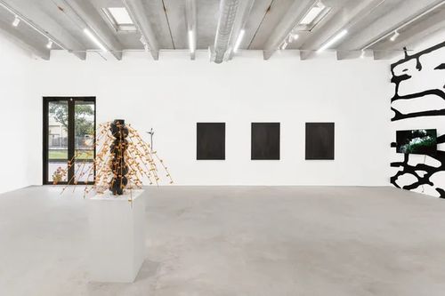 Installation view, Always Looking at Palm Trees - A Botanical Conversation, Voloshyn Gallery · 2026 (4)