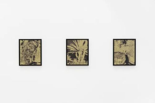 Installation view, Always Looking at Palm Trees - A Botanical Conversation, Voloshyn Gallery · 2026 (5)