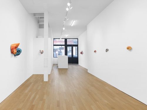 Installation view, Aletheia, Bienvenu Steinberg & C · 2026 (2)