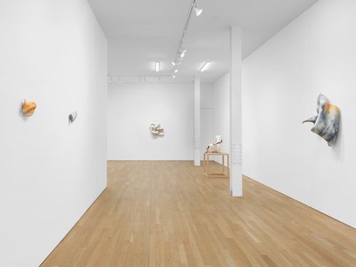 Installation view, Aletheia, Bienvenu Steinberg & C · 2026 (4)