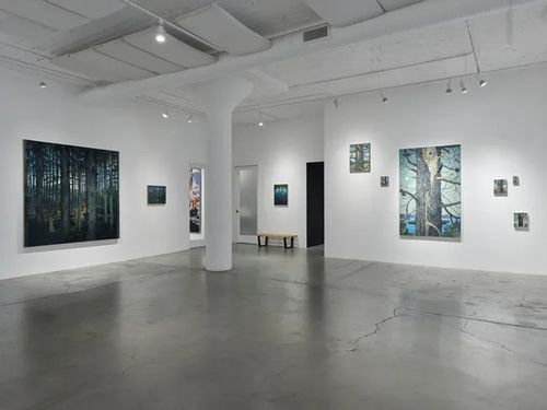 Installation view, A Brief Summary of My So-Called Life, Catharine Clark Gallery · 2026 (1)