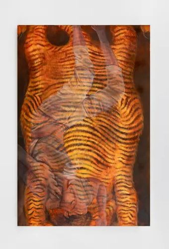 Installation view, How to Hold a Wild Thing, Rajiv Menon Contemporary · 2026 (9)