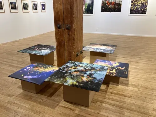 Installation view, Polaroid Revisions, Ceres · 2026 (1)