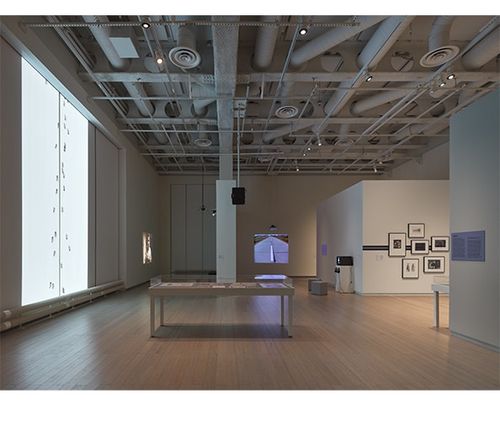Installation view, Disobedient Spaces, Wallach Art Gallery · 2025 (11)