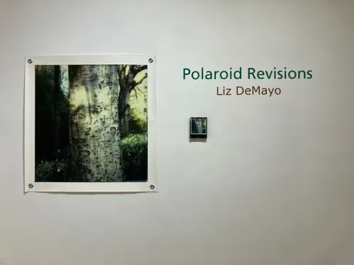 Installation view, Polaroid Revisions, Ceres · 2026 (2)