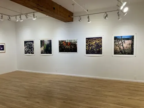 Installation view, Polaroid Revisions, Ceres · 2026 (4)