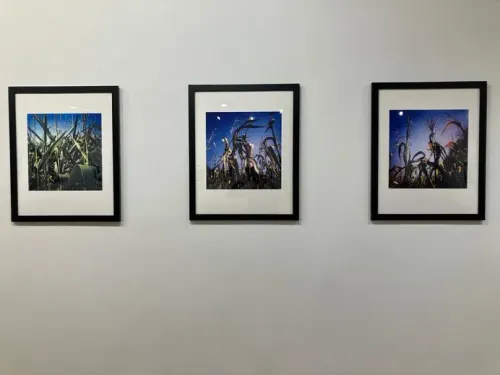 Installation view, Polaroid Revisions, Ceres · 2026 (3)
