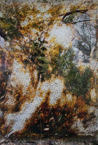 Installation view, From the Ashes, Haines Gallery · 2025 (15)