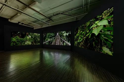 Installation view,  Path of Totality, Cristin Tierney Gallery · 2026 (3)