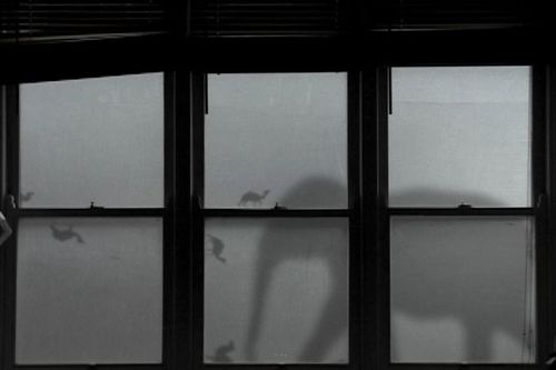 Installation view, Journeys in Place, Asia Society