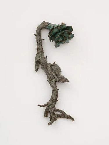 Installation view, Diane Chappalley, Megan Mulrooney · 2025 (12)