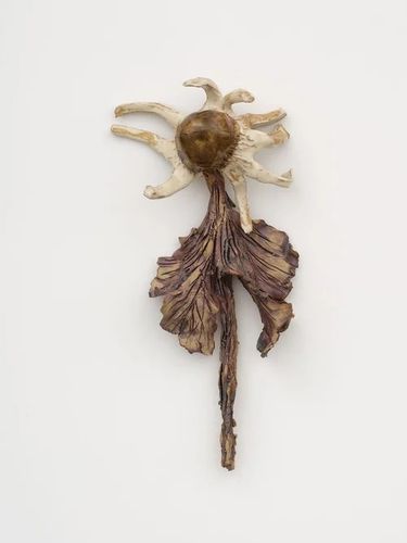 Installation view, Diane Chappalley, Megan Mulrooney · 2025 (10)