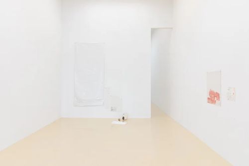 Installation view, health house, Chris Sharp · 2025 (2)
