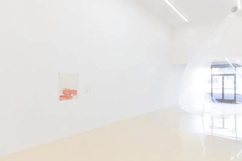 Installation view, health house, Chris Sharp · 2025 (11)