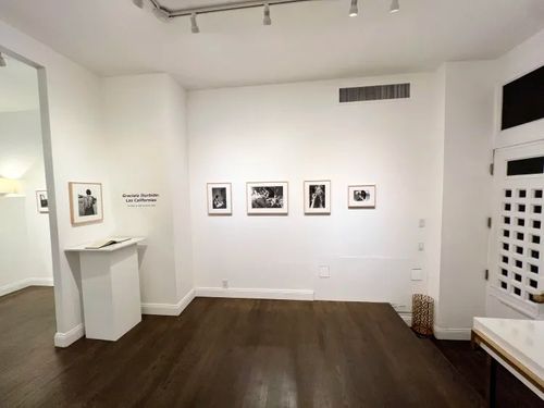 Installation view, Las Californias, Ruiz-Healy · 2025 (4)