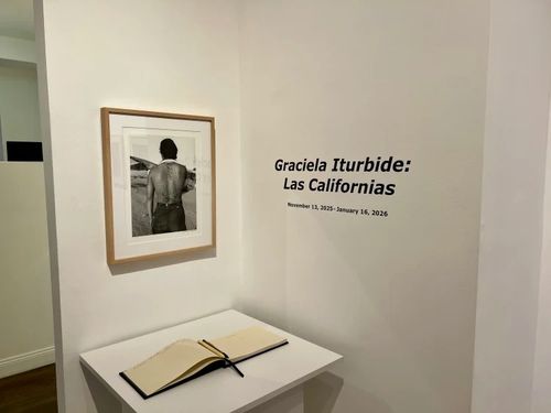 Installation view, Las Californias, Ruiz-Healy · 2025 (3)
