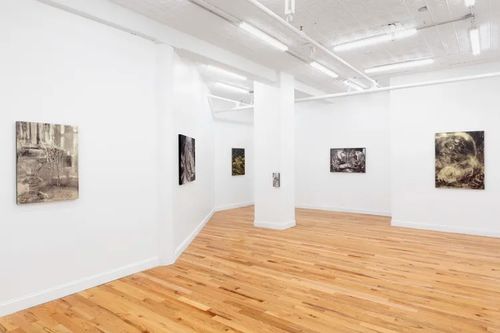 Installation view, Stalker, Fragment Gallery · 2026 (3)